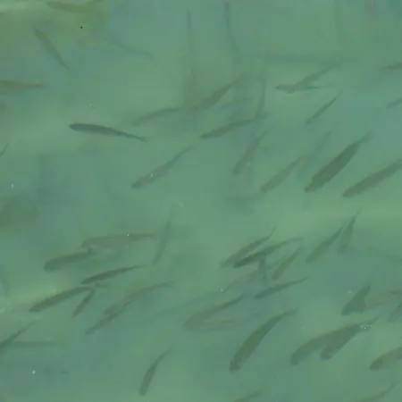 Vinzek By Interhome *