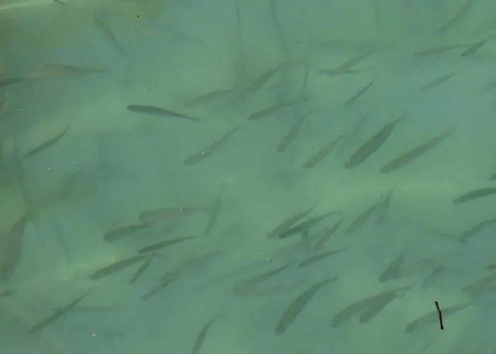 Vinzek By Interhome *